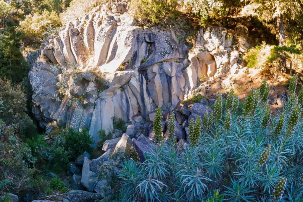 Mirador de la Piedra de la Rosa o de La Margarita de Piedra