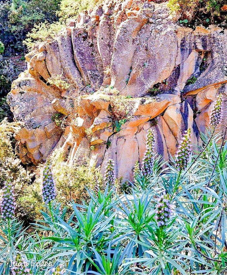 Viewpoint of Piedra de la Rosa or Viewpoint of La Margarita de Piedra