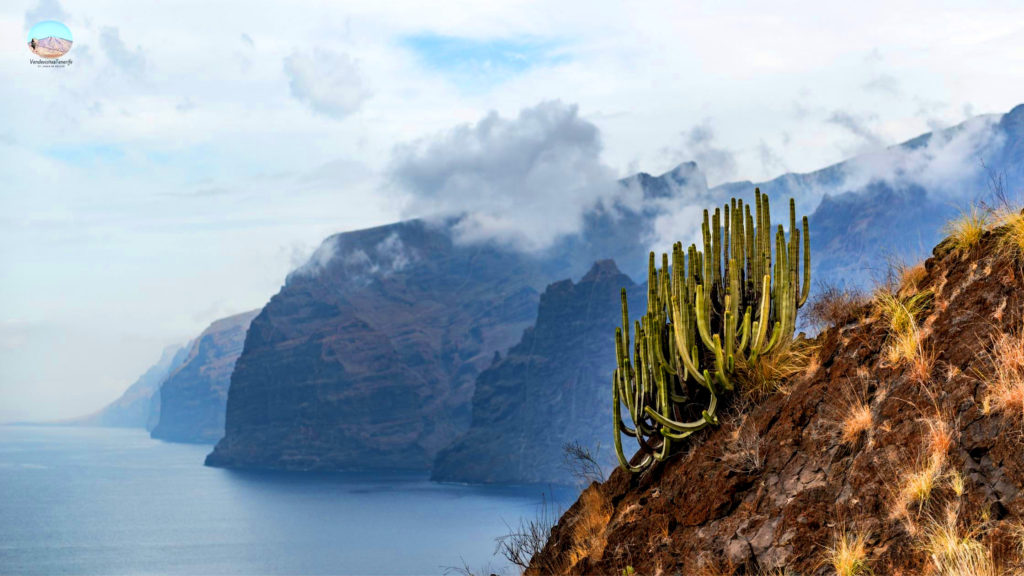 Acantilados de los Gigantes en Tenerife - Buenavista del Norte 😍