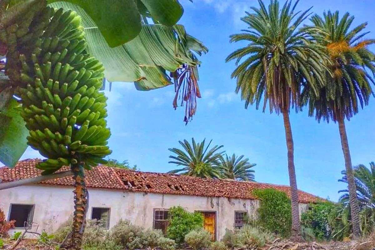 Agricultura Tradicional Canaria