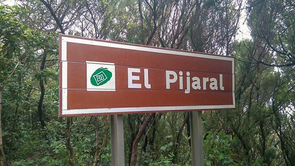 EL PIJARAL