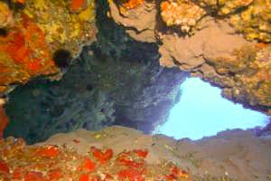 Fondos Marinos de Punta de Teno