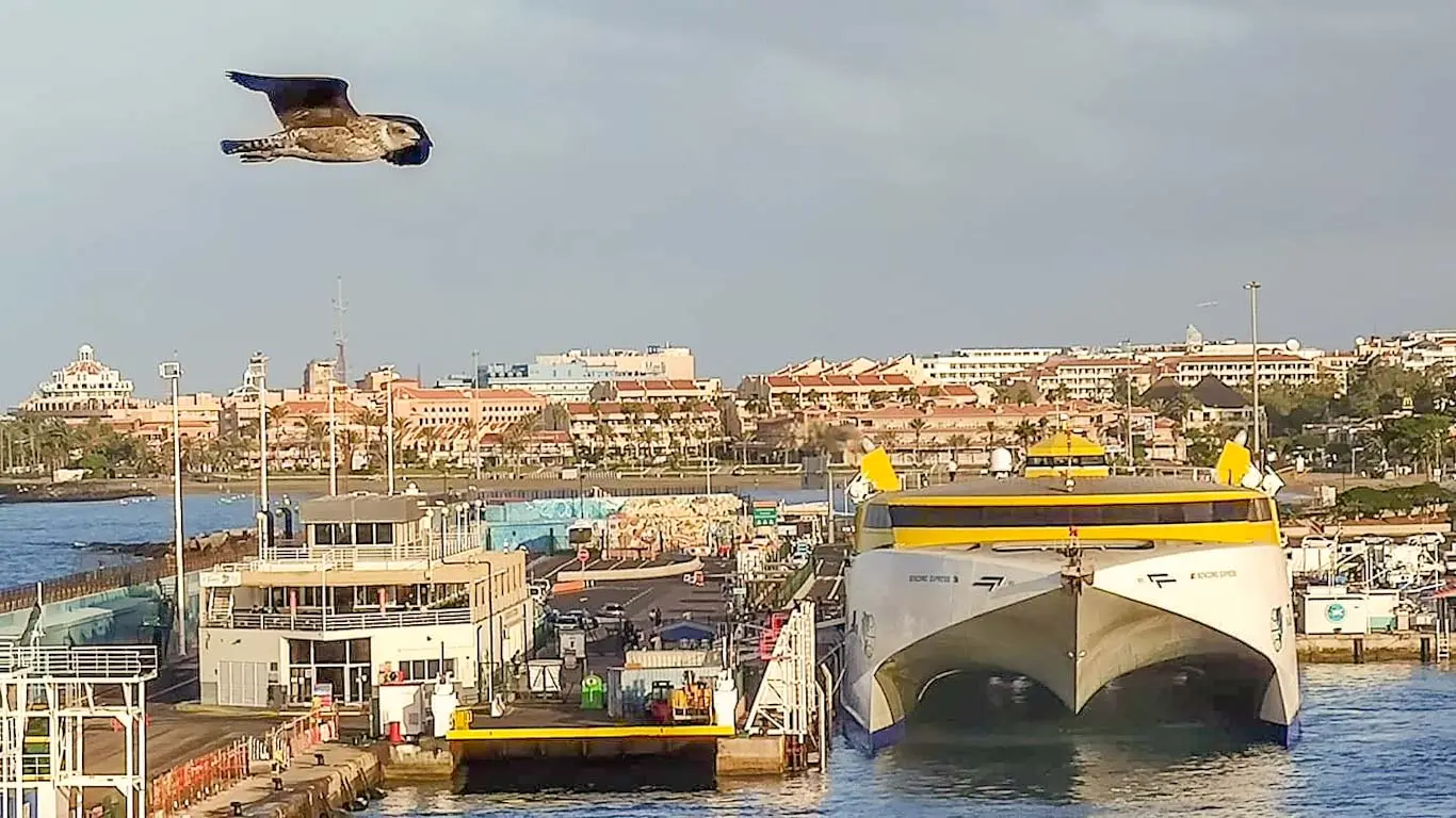 Que ver en Los Cristianos