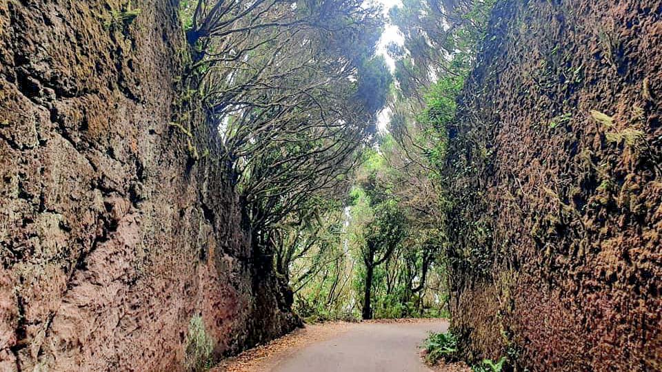 túnel de hadas anaga como llegar