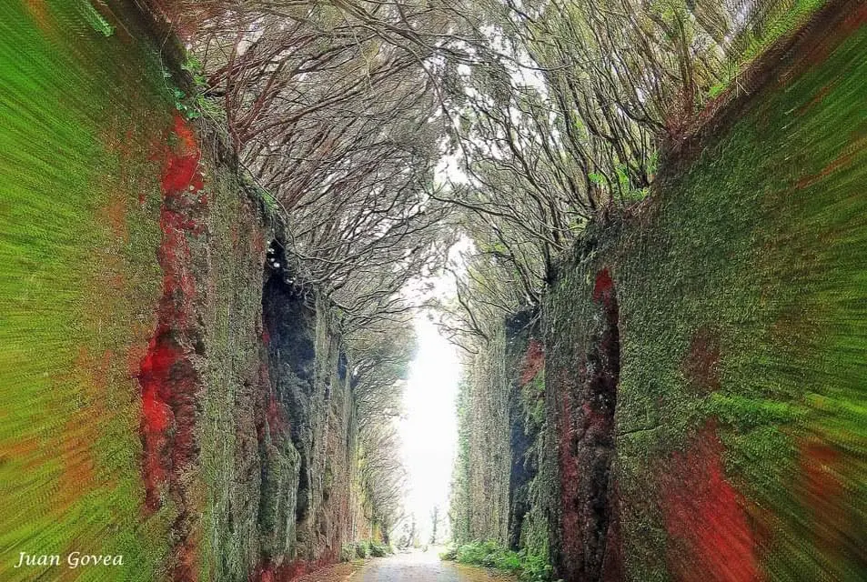 túnel de hadas anaga como llegar