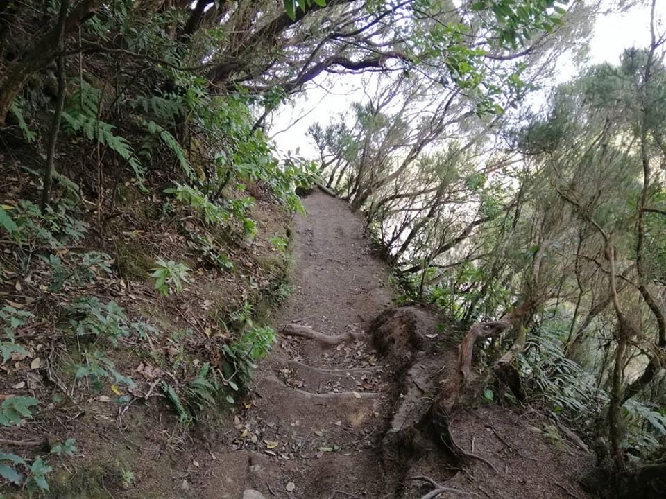 Roque Anambro (Parque Rural de Anaga) ✅ Domo Volcánico