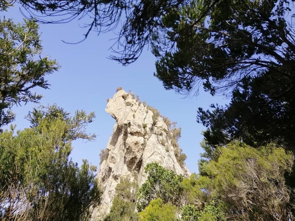 Roque Anambro (Parque Rural de Anaga) ✅ Domo Volcánico