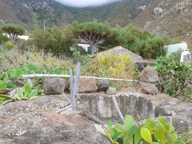 Lagar El Draguillo