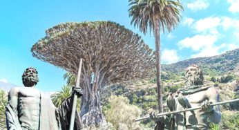 Leyenda Guanche en el Drago Milenario Revelada