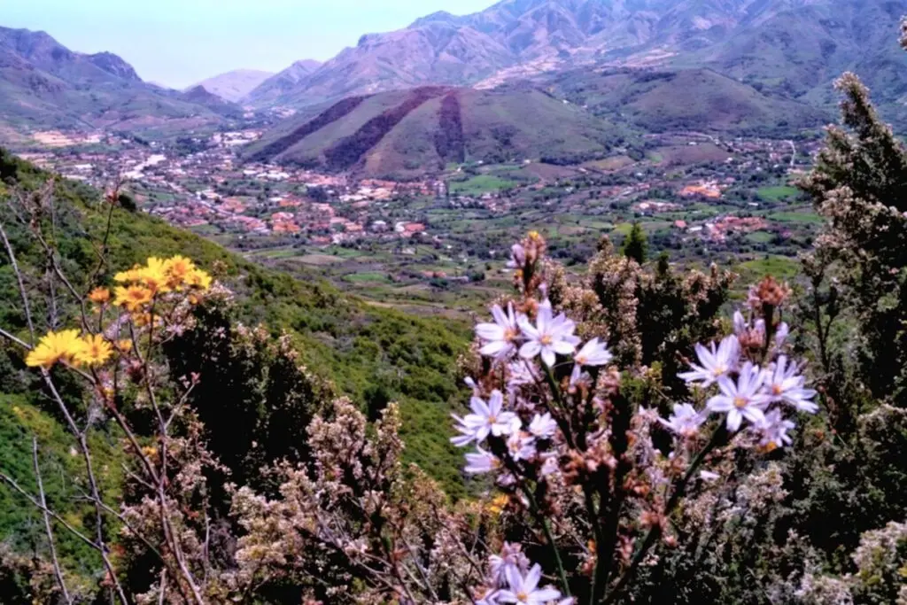 Palmar Mountain - Buenavista del Norte | Tenerife Island