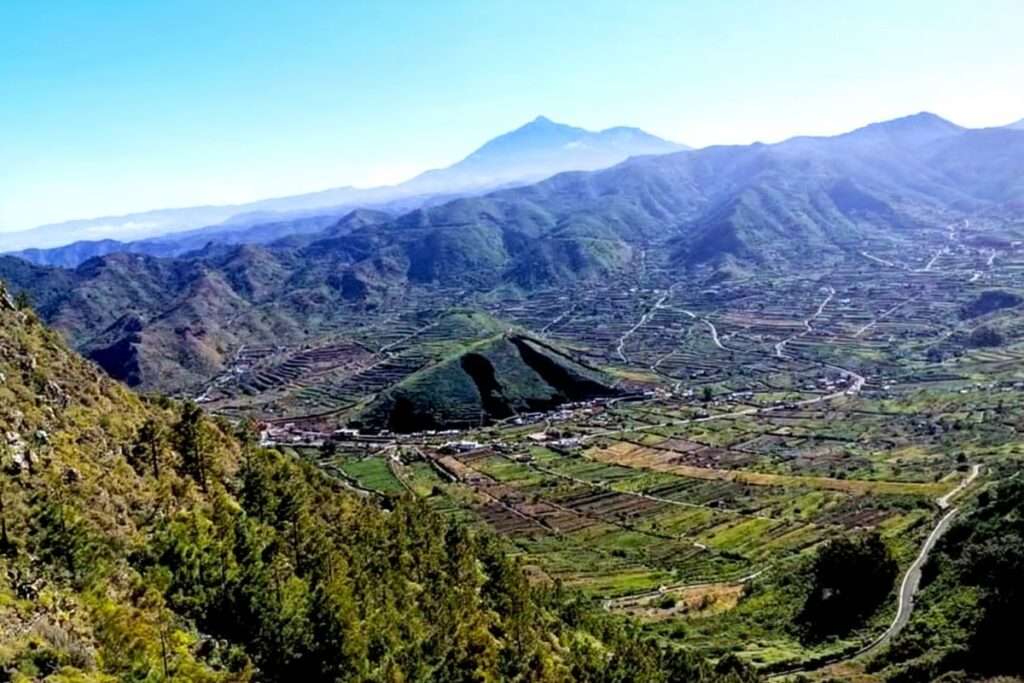 Montaña del Palmar: El Secreto Mejor Guardado de Tenerife que Debes Descubrir