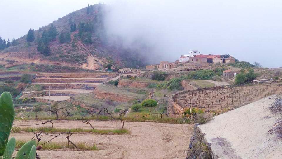 Tejina Mountain Natural Monument