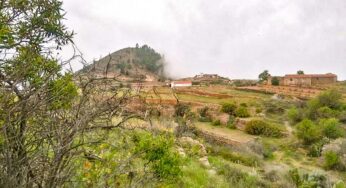 Tejina Mountain Natural Monument – Guía de Isora