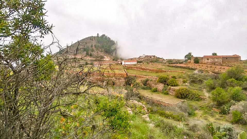 Tejina Mountain Natural Monument