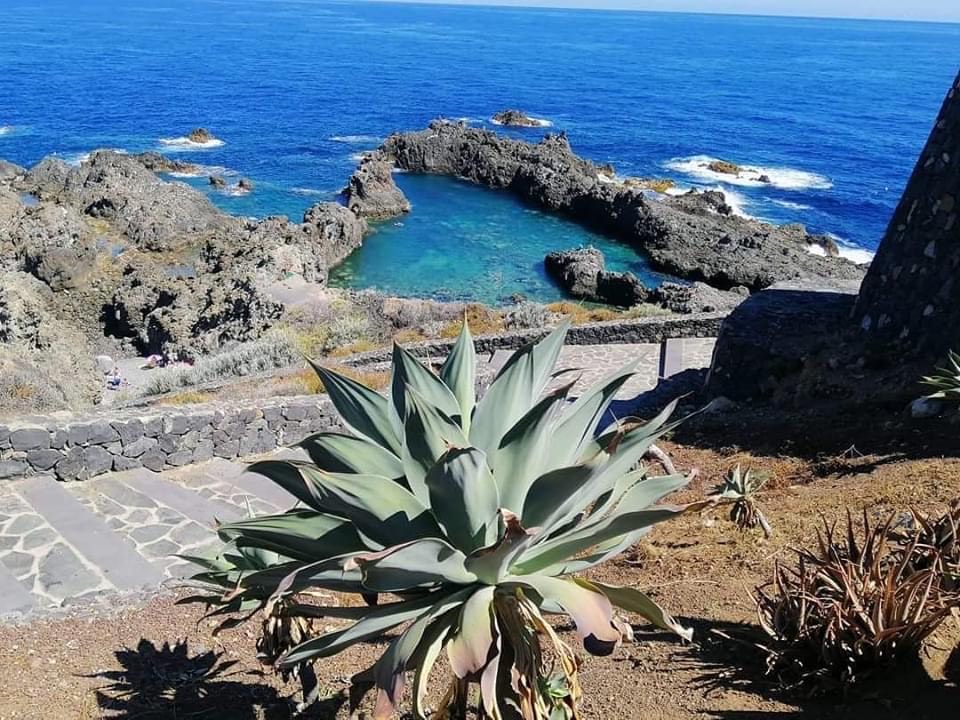 Norteando en la Costa Norte de Tenerife