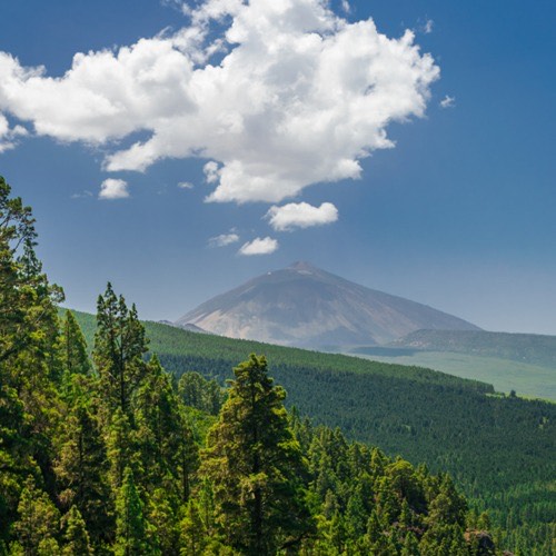 Excursión al Parque Nacional del Teide - Gloma Travel - Tenerife