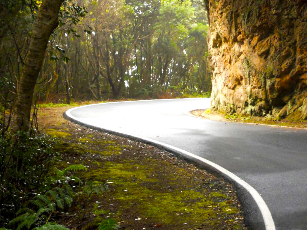 The Laurel Forest and the Trade Winds in Anaga 