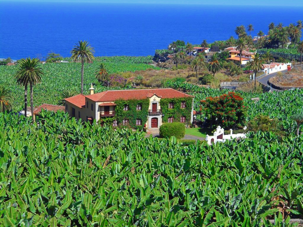 HACIENDA LAS CAÑAS (ICOD DE LOS VINOS)