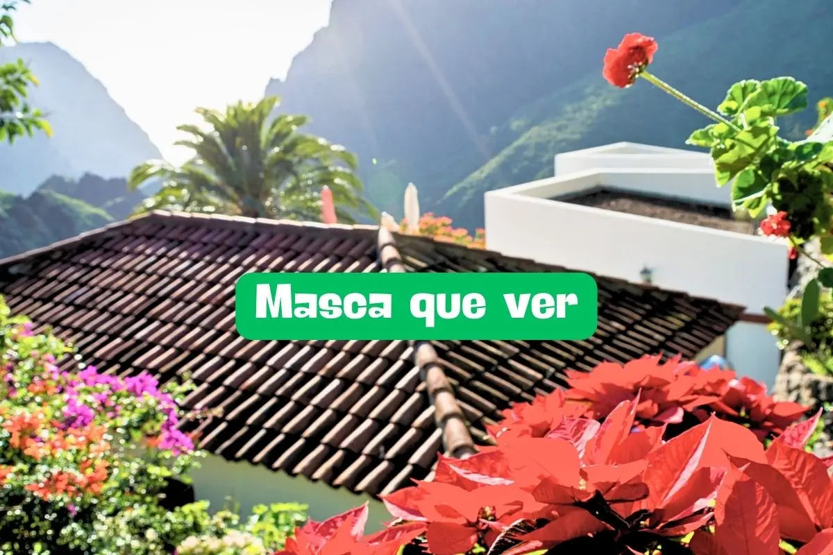 Masca que ver