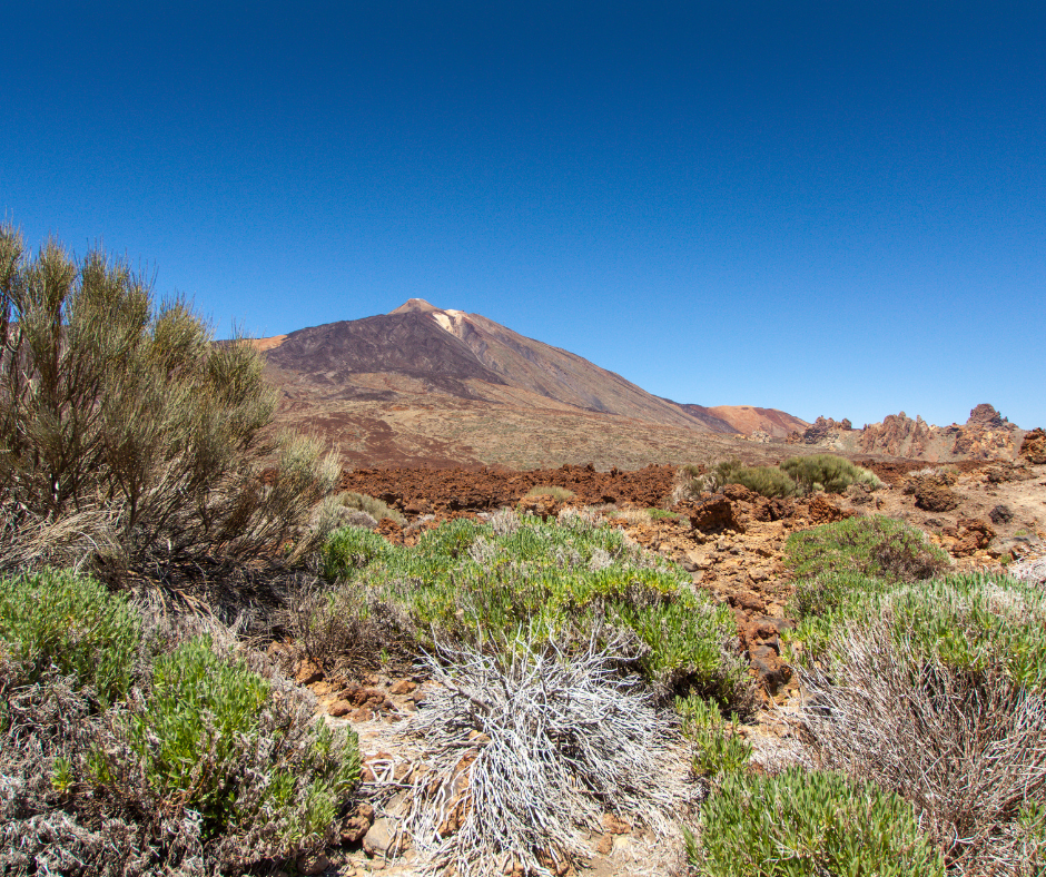 Teide con Visita a Bodega - Gloma Travel - Tenerife