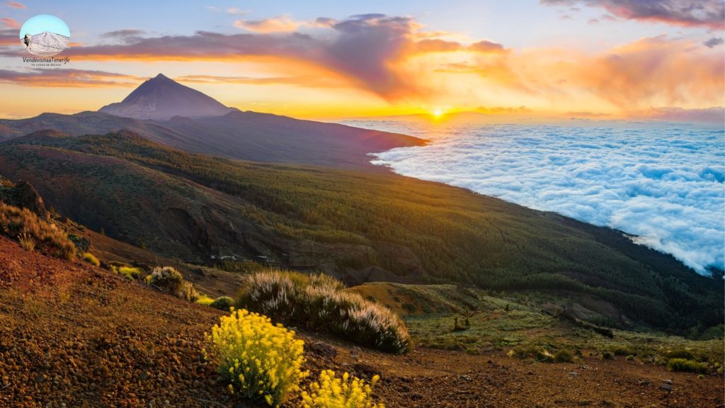 Siguiendo el Sol en Tenerife - Amaneceres y Atardeceres de Tenerife