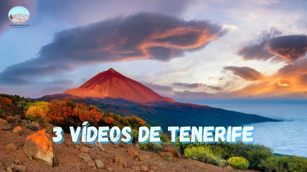 3 Vídeos de Tenerife, que me han quedado muy guapos ✅