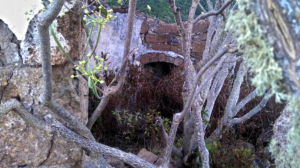 Casa Forestal de la Asomada en el Monte Aguirre (Anaga) 😍