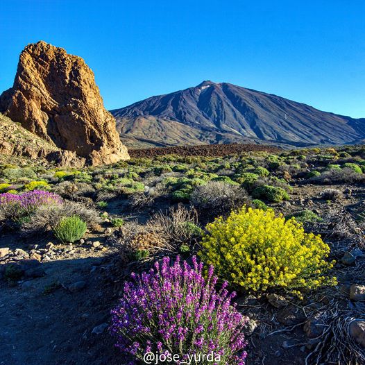 Fotografías Espectaculares de @Jose_yurda de Tenerife 😍