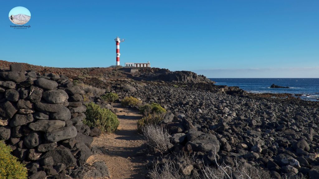 Malpaís de la Rasca - Reserva Natural Especial - Arona ✅ Tenerife