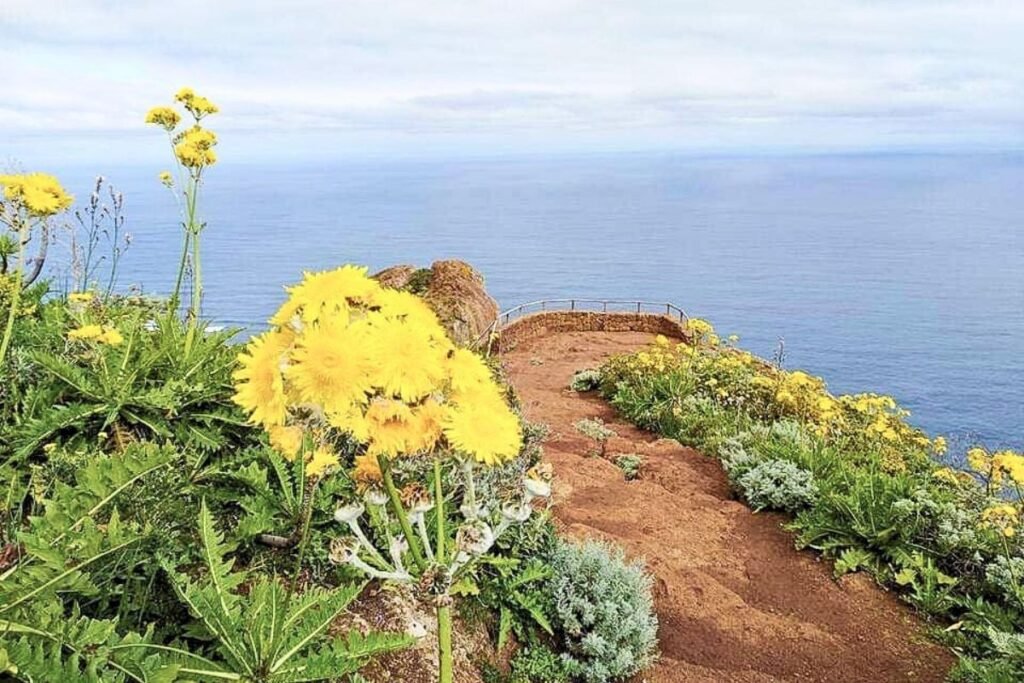 Mirador de Aguaide en Tenerife 🌅