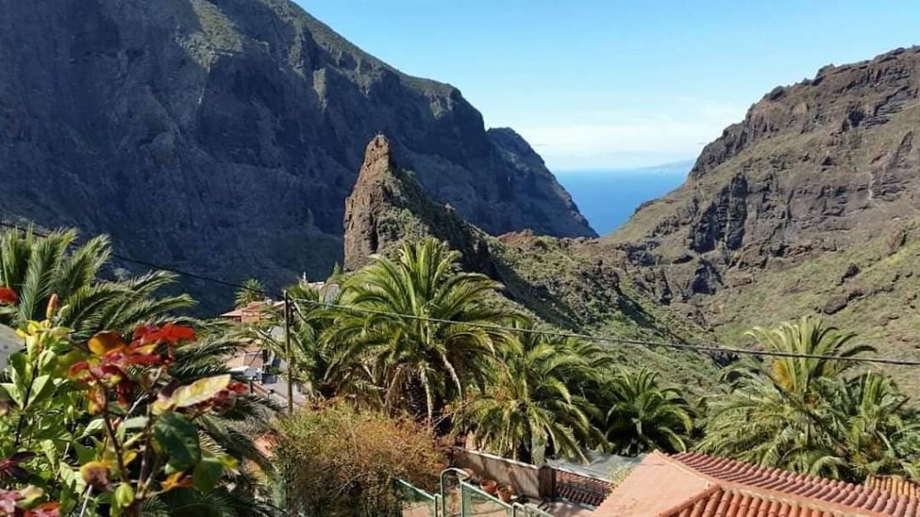La Trompa de Elefante del Barranco de Masca - Tenerife ✅
