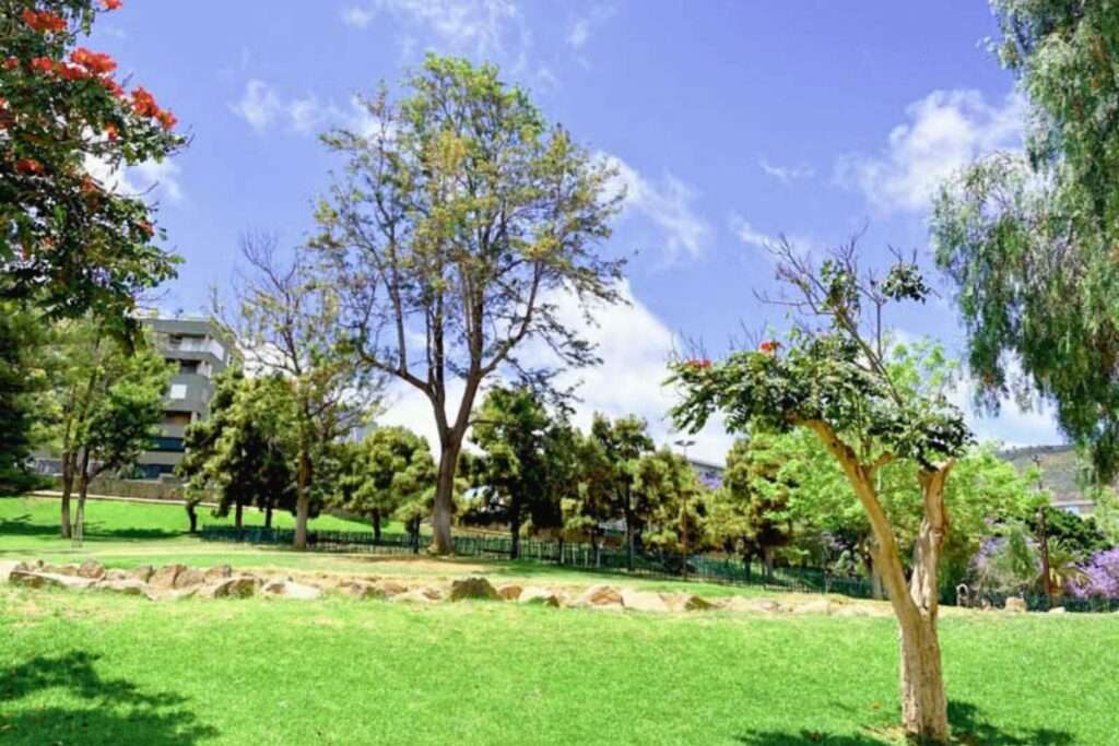 ¿Cuánto mide el Parque La Granja en Tenerife?