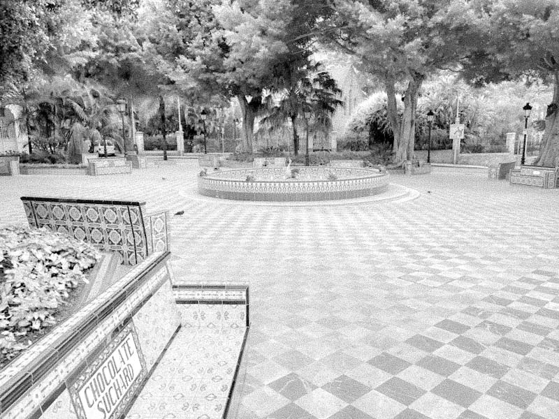 Plaza de 25 de Julio 🔷 Popularmente Conocida "Plaza de los Patos"