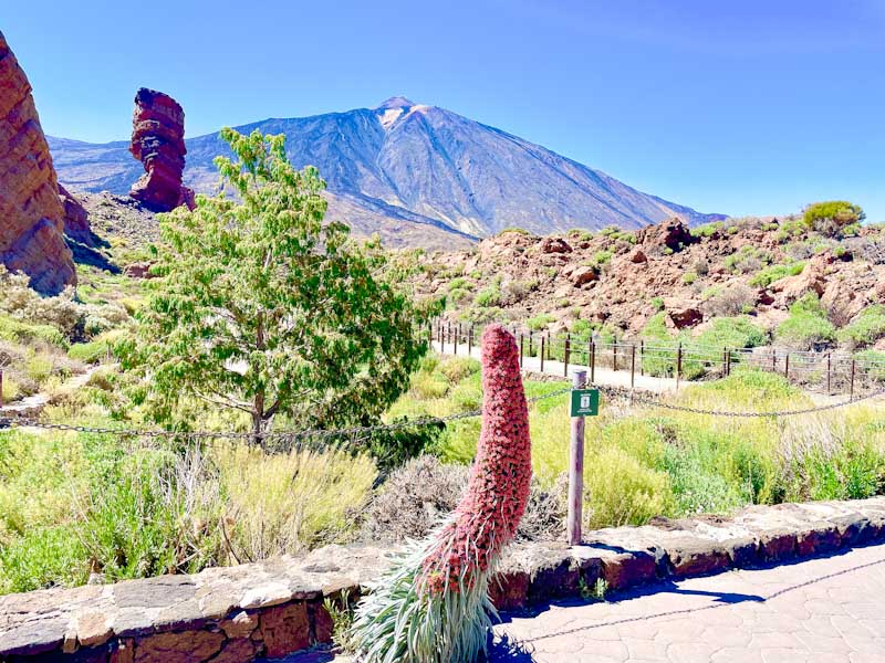 Roques de García ❤️💚💜 Parque Nacional del Teide 😎 Tenerife 🔵