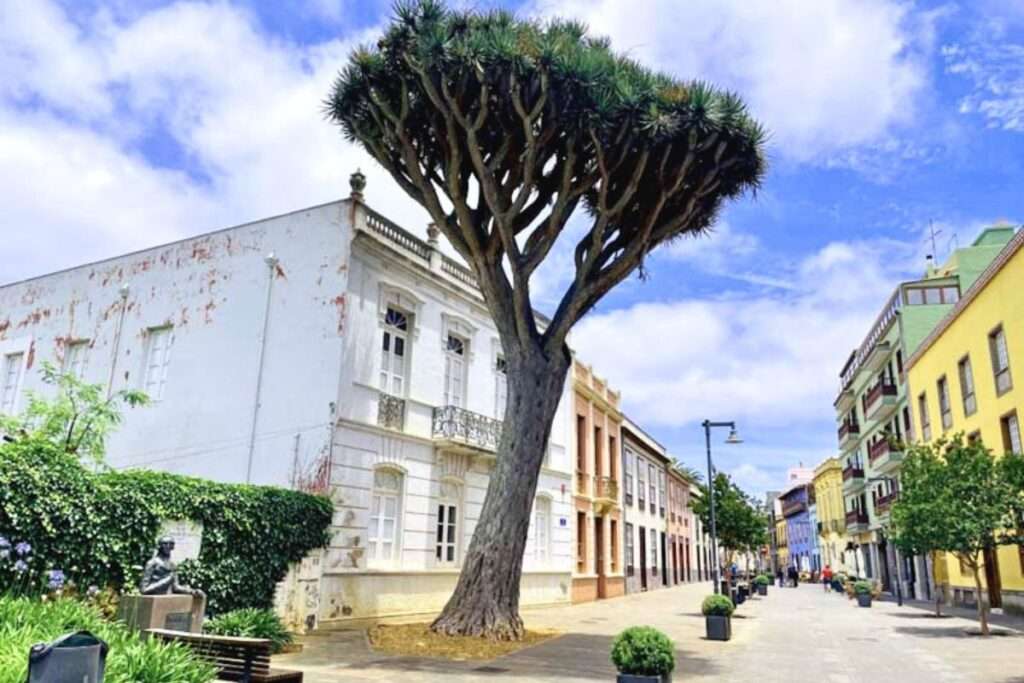 Calle San Agustín en La Laguna: ¿Descubriste ya su Encanto Histórico?