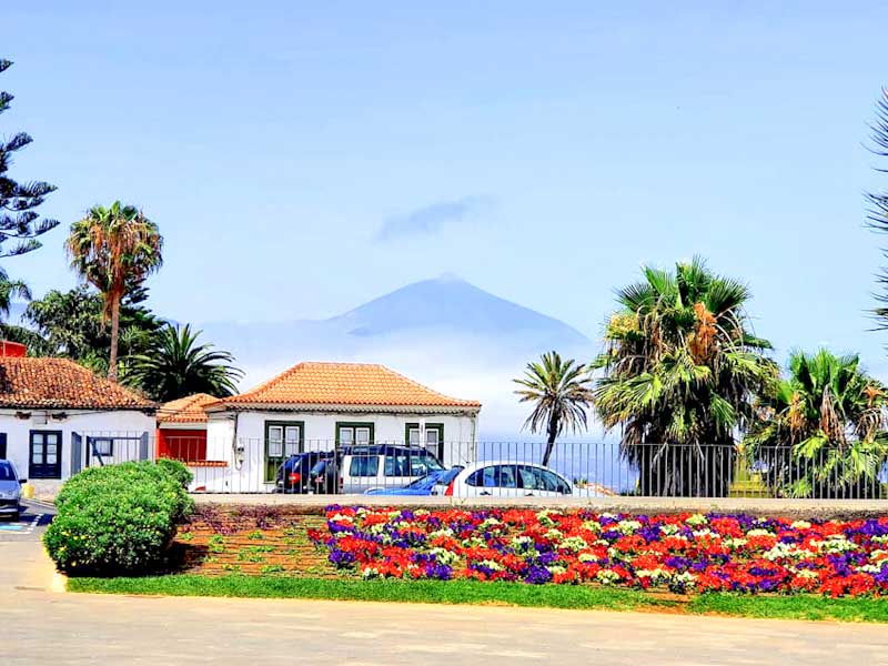 EL SAUZAL 🌸 Municipio del Norte de Tenerife 😎