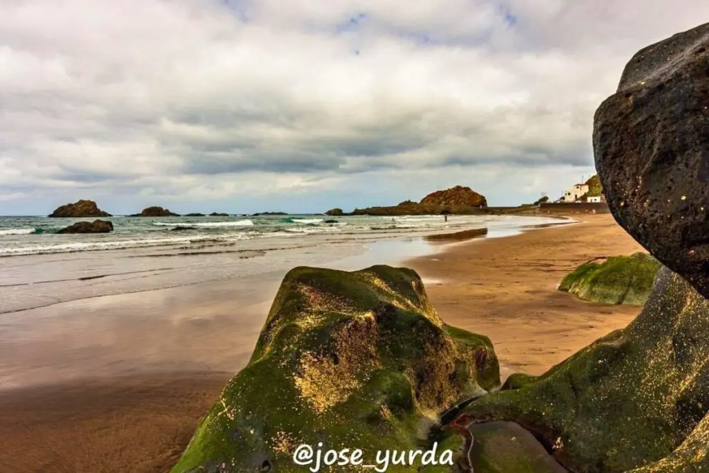 Playa del Roque de las Bodegas