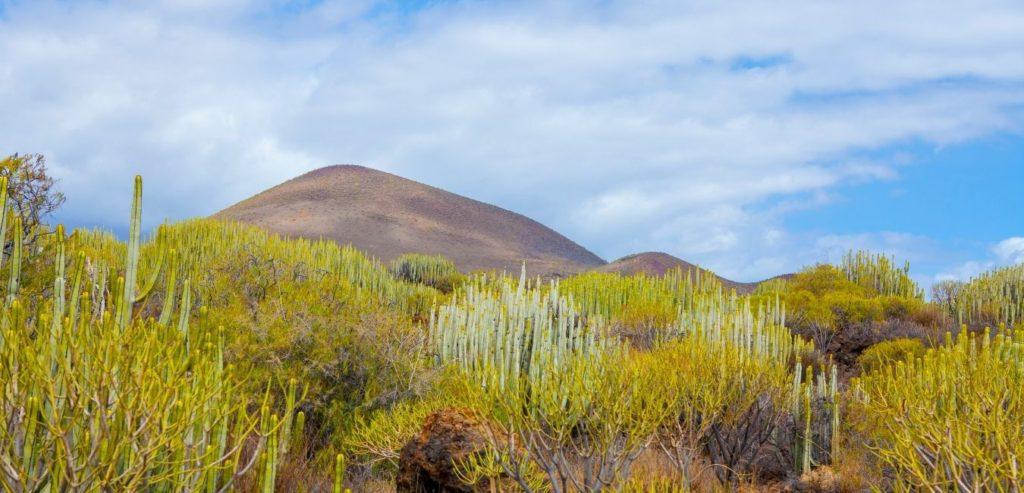 Güímar 😎 Municipio de Tenerife 🏜️ Sur de Tenerife 