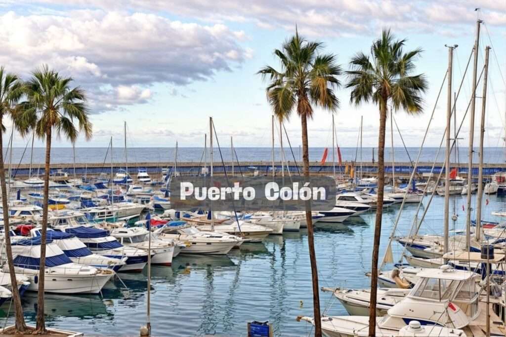 Puerto Colón: ¿Cuál es el Encanto de Este Puerto Deportivo en Tenerife?