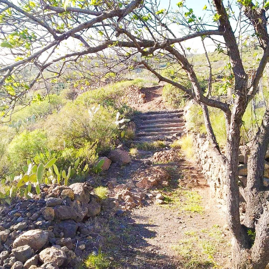 Antiguo Caserío Disperso de Pasacola ☑️ Igueste de Candelaria