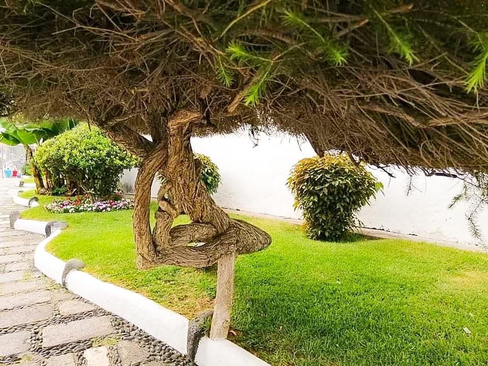 Ermita de San Telmo ⛪ PUERTO DE LA CRUZ 😎