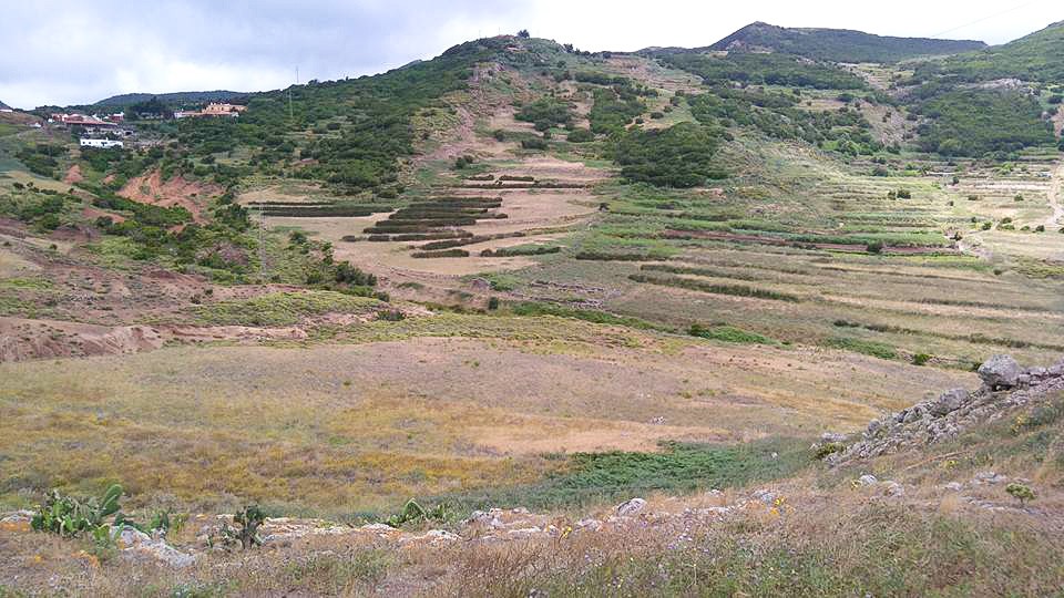 Teno Alto 😎 Buenavista del Norte 🏡 Norte de Tenerife
