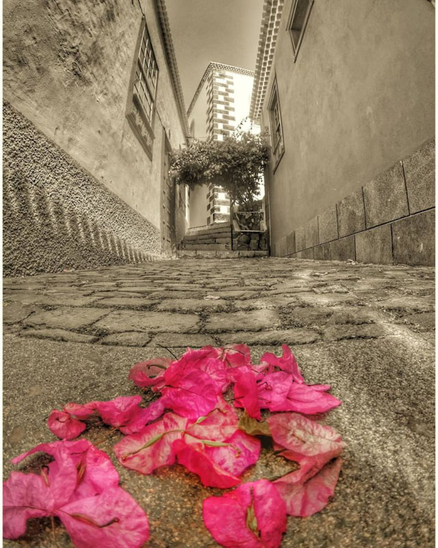 Fotografías Espectaculares de Garachico de Andrés Lemus 😎