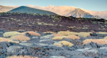 Malpaís de Güímar Tenerife: Get to know the volcanic beauty of the south of the island