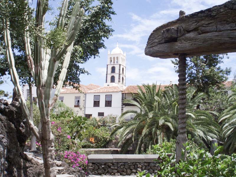 Excursión Garachico / Icod de los Vinos