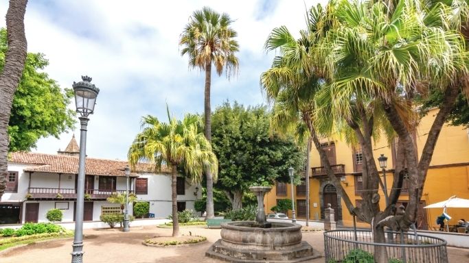 Icod de los Vinos en Tenerife 😎 Ciudad del Drago 🌴 Norte de Tenerife