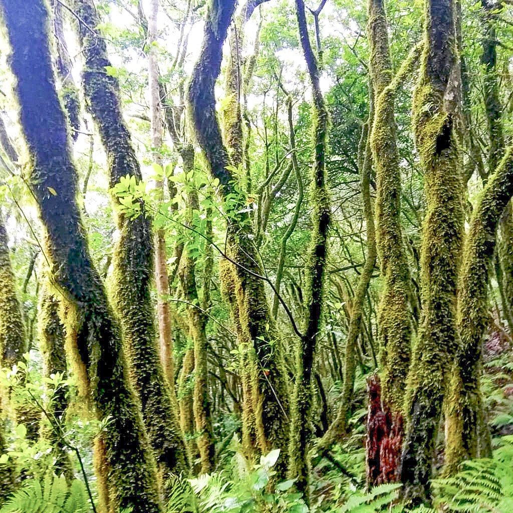 ¿Por qué es Anaga Reserva de la Biosfera? 