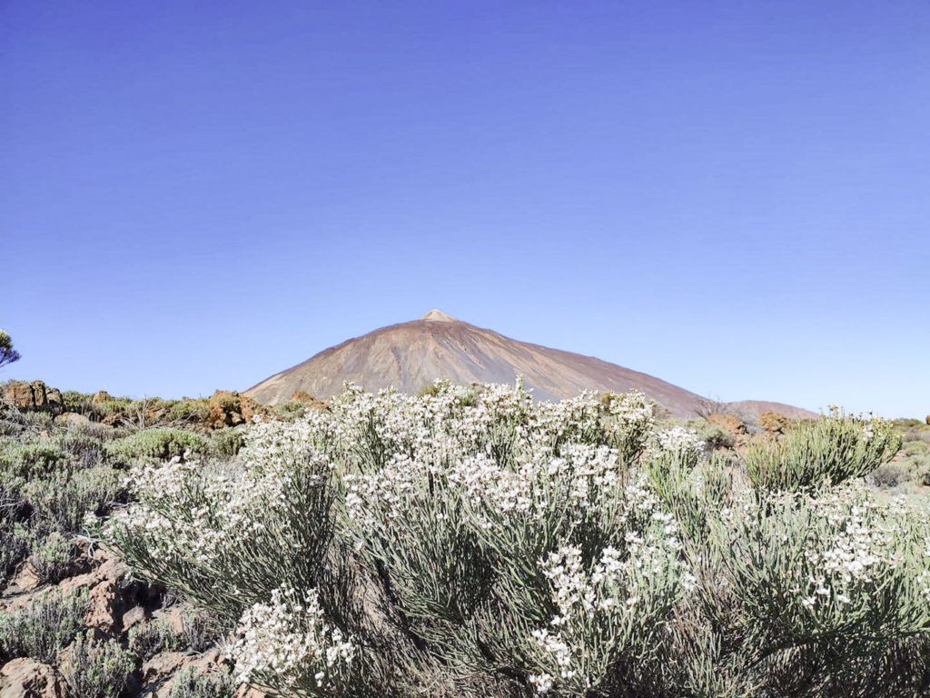 10 imágenes Espectaculares del Volcán Teide