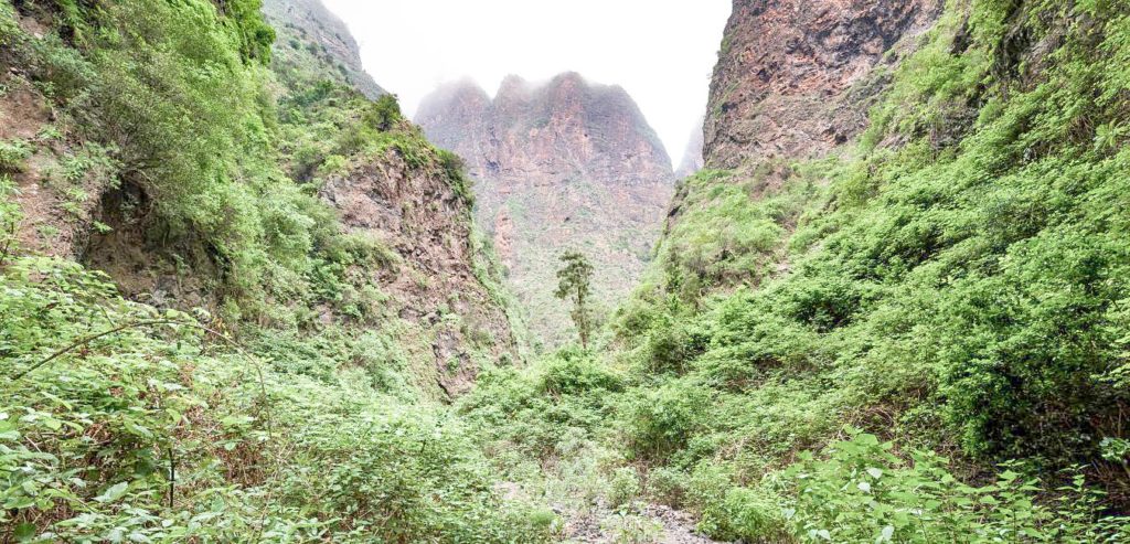 Barranco de Badajoz en Güímar | TENERIFE