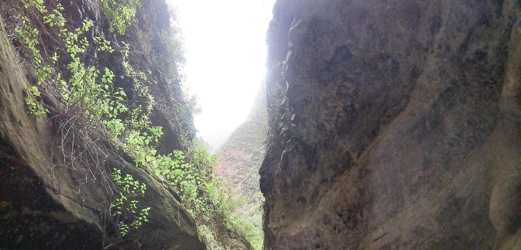 Barranco de Badajoz en Güímar | TENERIFE